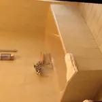 Lucky 3* בודפשט
